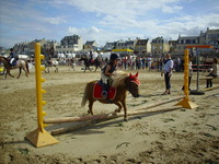 Concours sur la plage ep poney